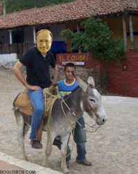  A jackass on a donkey... or vice versa 